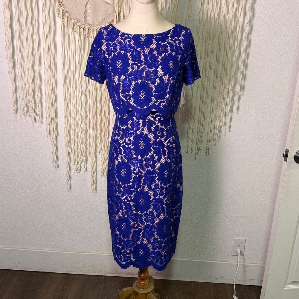 Anthropologie | Eva Franco Bright Blue Lace Modest Dress NWOT 6